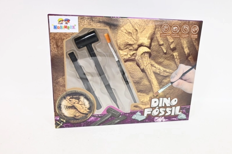 Fossil Excavation Kit for Young Paleontologists