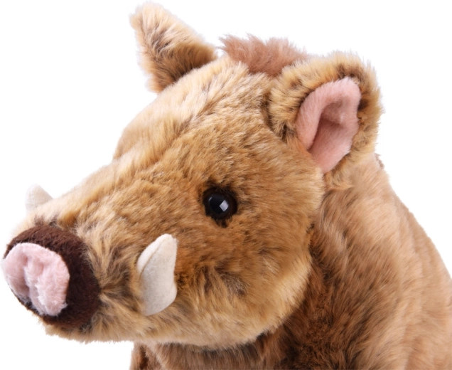 Veilig ontwerp met CE-certificering