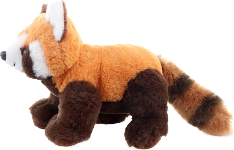 Realistic red panda details