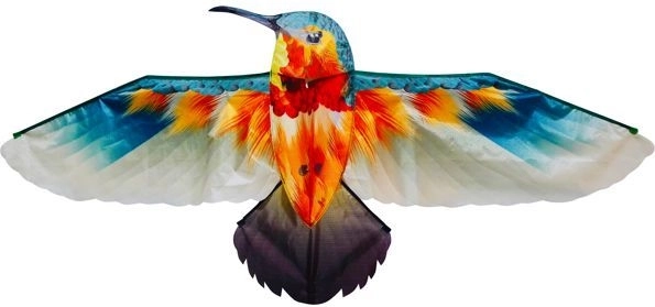 Drachen Kolibri