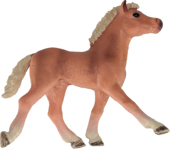 Drie aantrekkelijke varianten