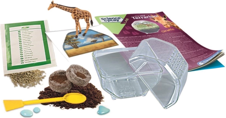 Create your own mini ecosystem