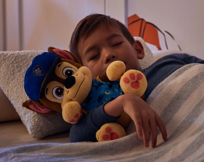 Compagnon tout doux pour s’endormir