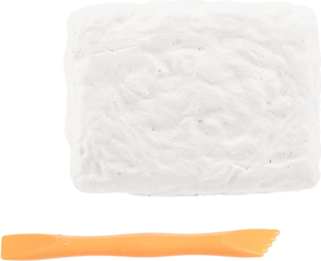 Alles wat je nodig hebt in de verpakking