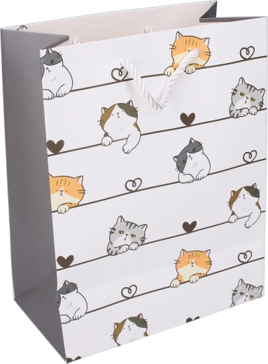 Schattig kattendesign voor extra cadeauplezier