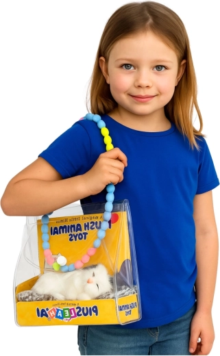 Portable transparent bag