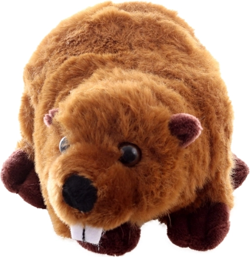 Realistische details en schattige look