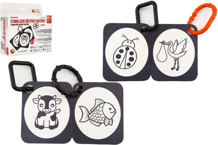 Stimulating wooden animal recognition cards (black and white) in a box