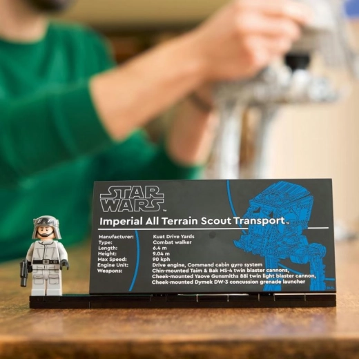 Collector display with nameplate and minifigure