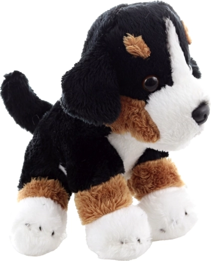 Lichte en compacte metgezel