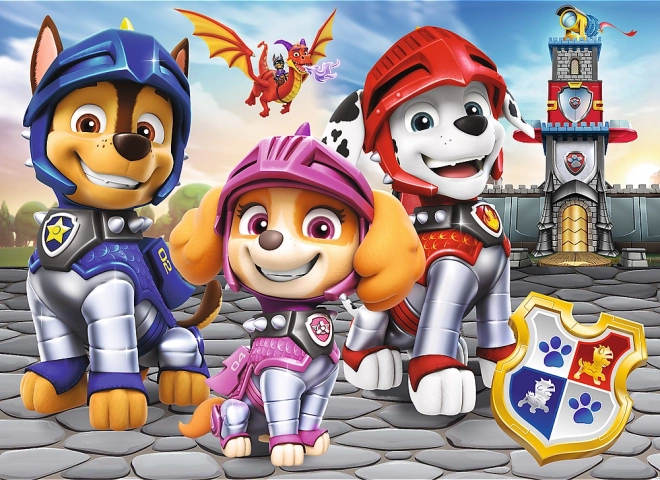 Puzzle miniMAXI PAW PATROL chevaliers 20 pièces