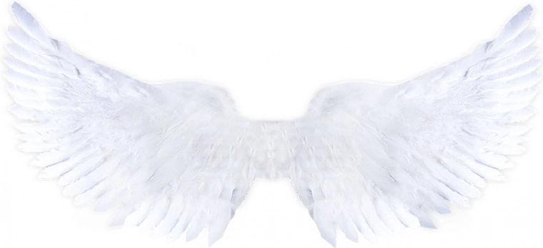 Weiße Engelsflügel mit Glitzer