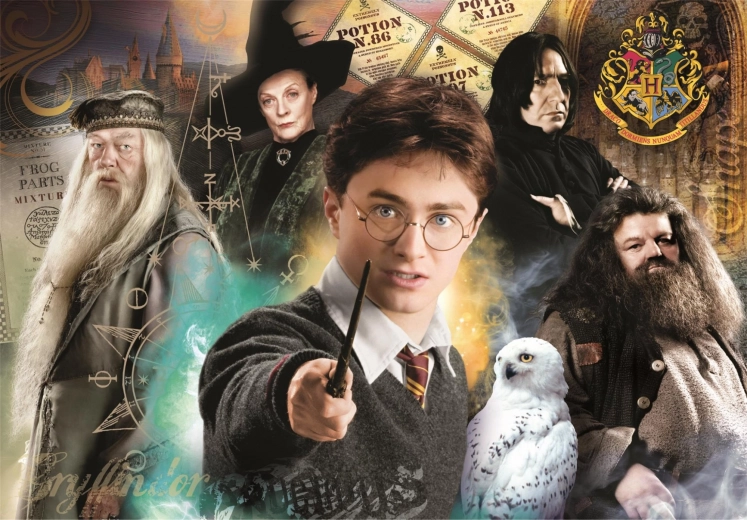 puzzle 1000 pièces compact harry potter clementoni