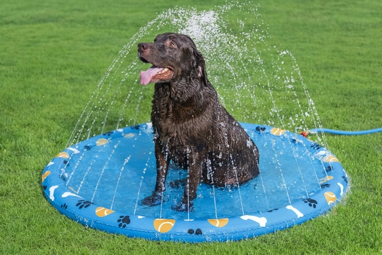 Zachte waterstraaltjes langs de rand voor zomerse verkoeling