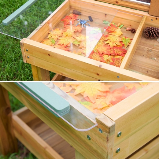 Transparent trays and lids for safe exploration