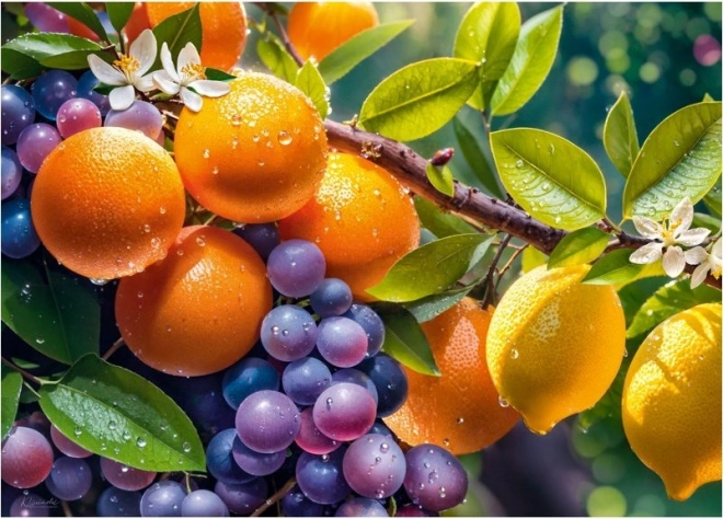 Puzzle fruits ensoleillés 1000 pièces