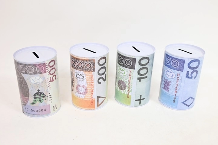 Metal Money Box PLN