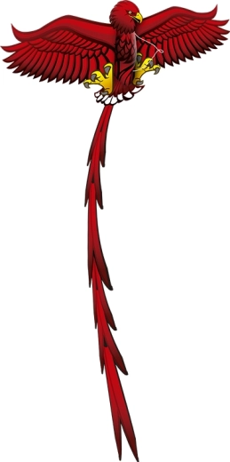 Cerf-volant Pop Up 3D