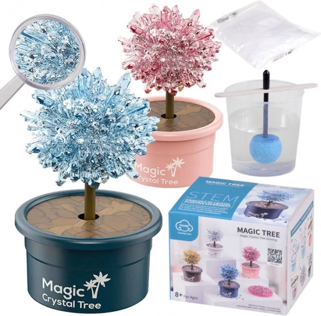 Wetenschappelijke set voor het kweken van kristallen – magische kristallen geluksboompje