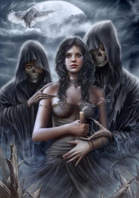 Puzzle Esprit de la nuit 1000 pièces