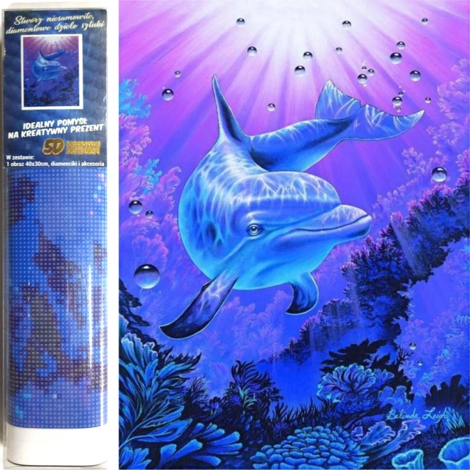 Norimpex Diamantmalerei Delfin 30 × 40 cm