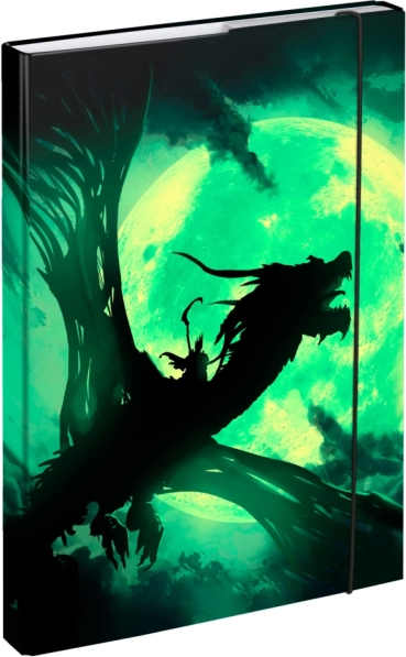 A4 School Notebook Folder with Dragon Design BAAGL