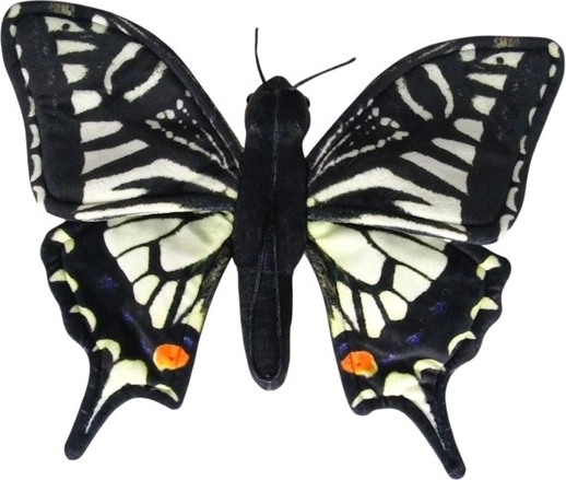 Papillon machaon (fenouil) 30 cm