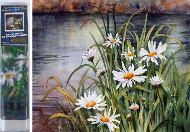 Diamant schilderen margrieten bij het water 30 × 40 cm