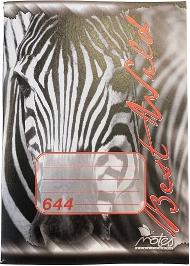 School notebook A6, 40 sheets, ruled, wood-free paper