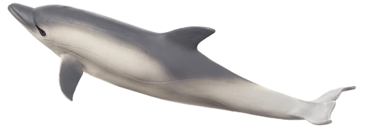 Mojo Dolphin Realistic Figure
