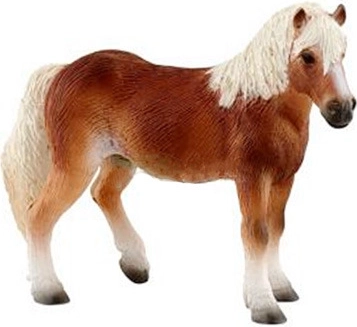 Jument haflinger