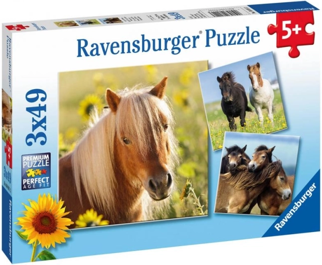 Ravensburger puzzle cute horses 3×49 pieces