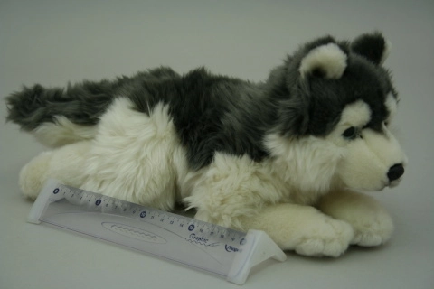 Plush Husky 35 cm