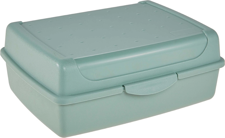 Lunchbox Scandinavisch groen 30 × 20 × 8,5 cm