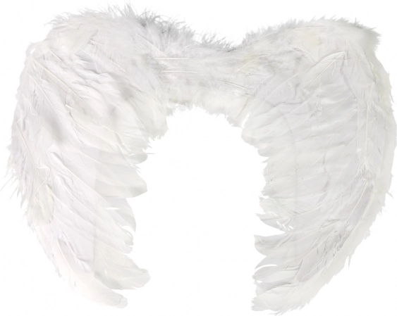 Angel wings with feathers
