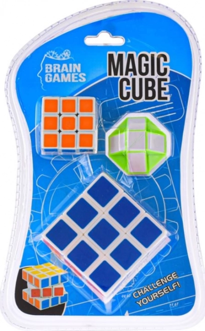 Brain games puzzle set: stacking cubes and snake