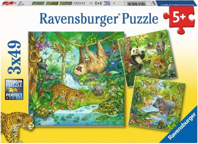 RAVENSBURGER Puzzle Animals in the Jungle 3x49 pieces