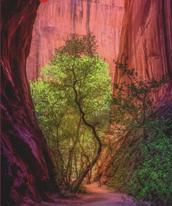 1000-Piece Puzzle – Canyon