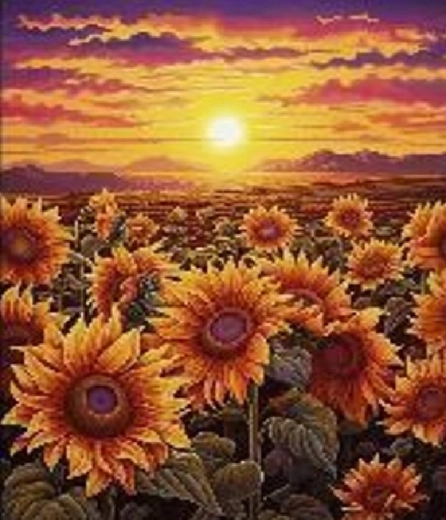 Diamant schilderen zonsondergang tussen zonnebloemen 30 × 40 cm