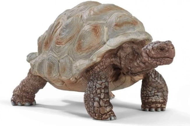 Figurine de tortue géante Wild Life