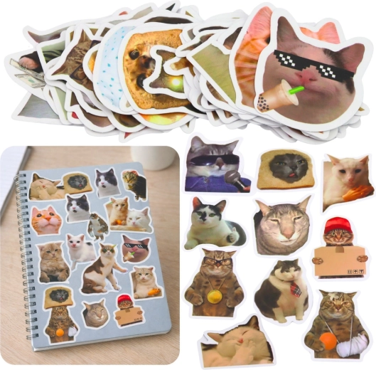 Cat Meme Stickers – Set of 50, 7–8 cm