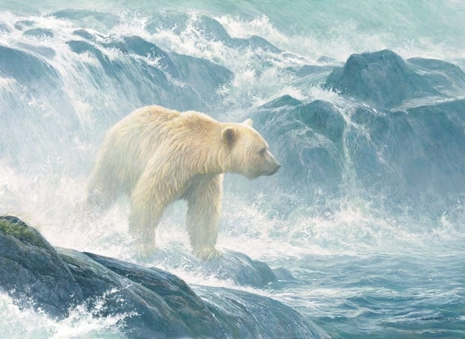Puzzle Salmon Stakeout - Polar Bear 500 Pieces