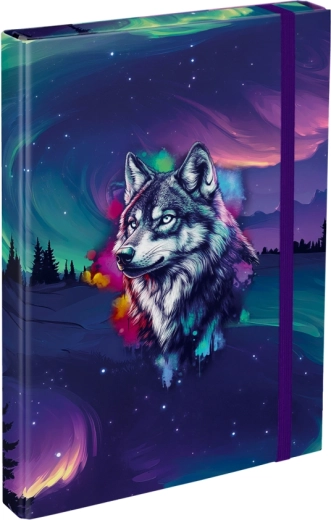 A4 Notebook Folder Baagl Aurora