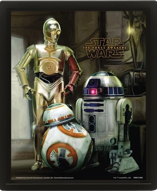 3D Picture STAR WARS: Droids