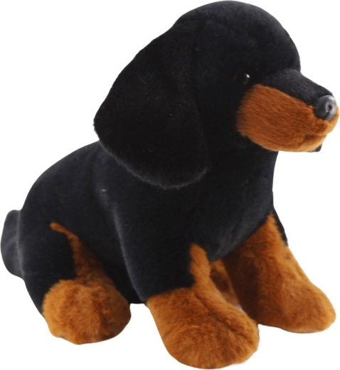 Plush Dachshund Sitting 20 cm