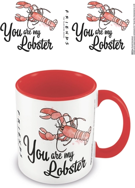 Colorful Friends Mug You Are My Lobster