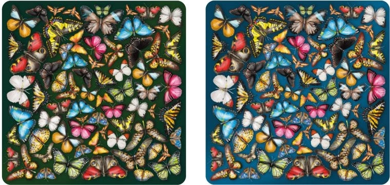 Dubbelzijdige houten puzzel Curiosi Double: vlinders 165 stukjes