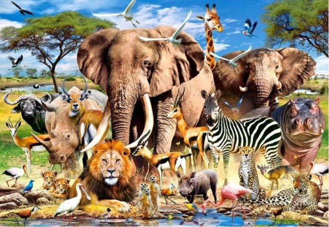 Savannah Animals Puzzle 1500 pieces CASTORLAND