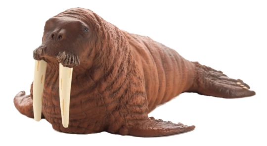 Realistic Figurine Walrus Mojjo