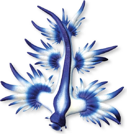 Figurine Bullyland limace de mer bleue